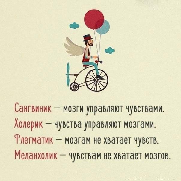 Сангвиник мозги управляют чувствами Холерик чувства управляют мозгами Рлегматик мозгам не хватает чувств Меланхолик чувствам не хватает мозгов