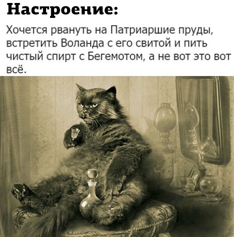 Настроение Хочется рвануть на Патриаршие пруды встретить Воланда с его свитой и пить чистый спирт с Бегемотом не вот это вот всёт