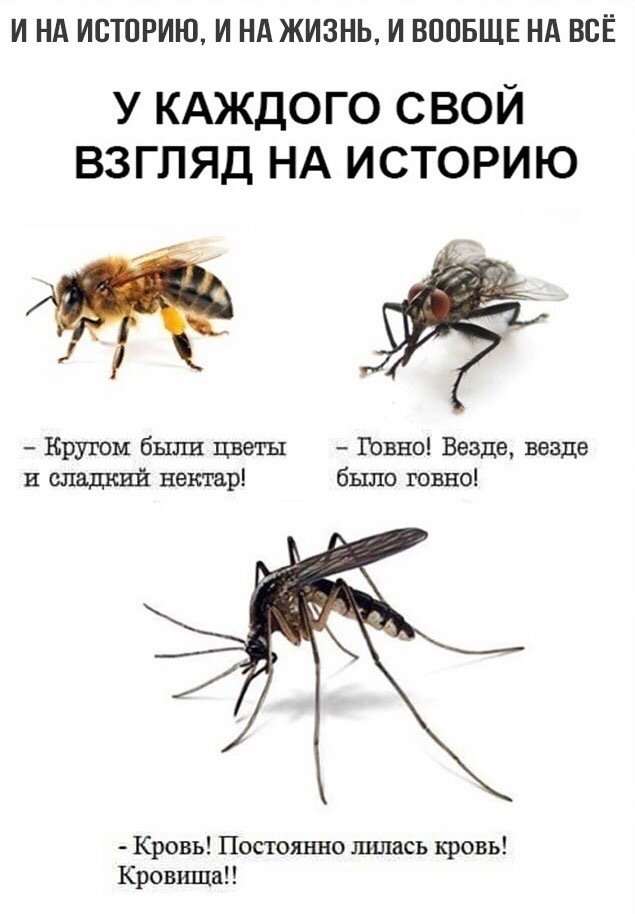 И НА ИСТОРИЮ И НА ЖИЗНЬ И ВООБЩЕ НА ВСЁ У КАЖДОГО СВОЙ ВЗГЛЯД НА ИСТОРИЮ Кругом были цветы Говно Везде везде и сладкий нектар было говно Кровь Постоянно шшась кровь Кровища