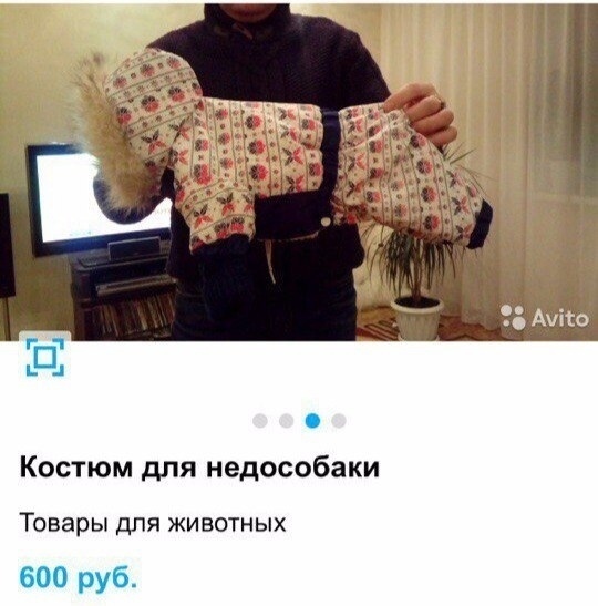 Костюм для недособаки Товары дЛЯ ЖИВОТНЫХ 600 руб