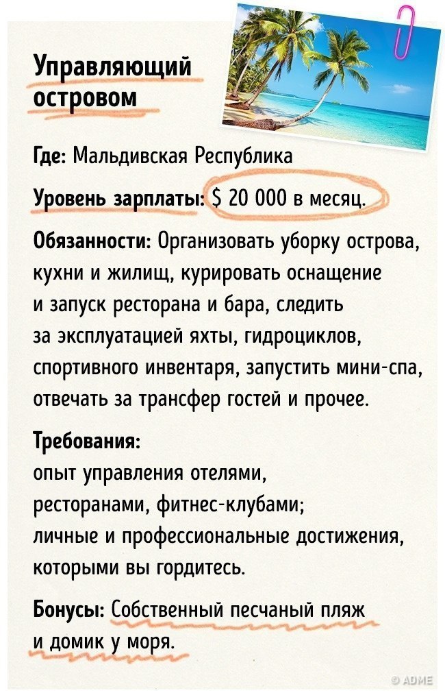 Управляющий ТР959Ёд Где Мальдивская Республика 7 Уровень зарплатьпё 20 000 в месяц Обязанности Организовать уборку острова кухни и жилищ курировать оснащение и запуск ресторана и бара следить за эксплуатацией яхты гидроциклов спортивного инвентаря запустить мини спа отвечать за трансфер гостей и прочее Требования опыт управления отелями ресторанами фитнес клубами личные и профессиональные достижен