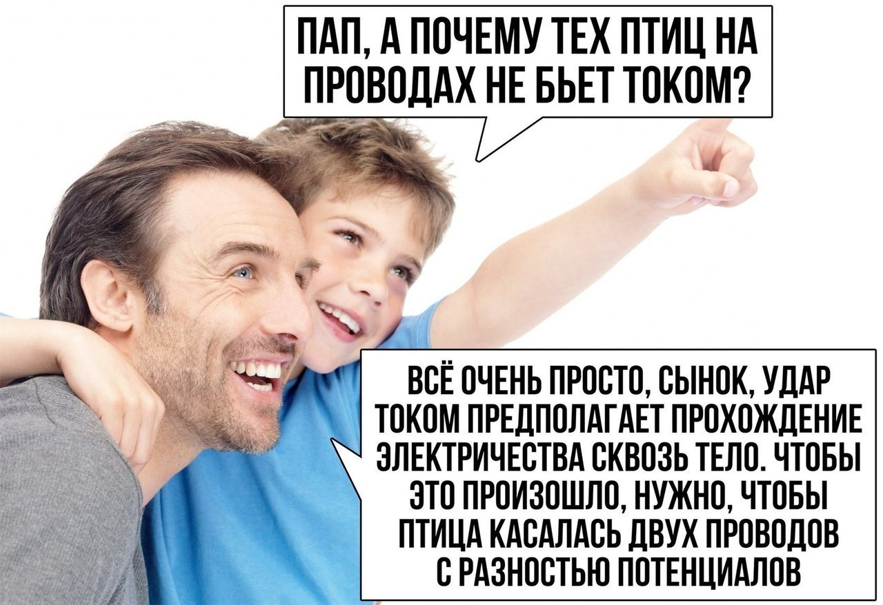 ПАП А ПОЧЕМУ ТЕХ ПТИЦ НА ВОЕ ОЧЕНЬ ПРОСТО ОЫНОК УДАР ТОКОМ ПРЕДПОЛАГАЕТ ПРОХОЖДЕНИЕ ЭЛЕКТРИЧЕСТВА ОКВОЗЬ ТЕЛО ЧТОБЫ ЭТО ПРОИЗОШЛО НУЖНО ЧТОБЫ ПТИЦА КАОАЛАОЬ ДВУХ ПРОВОПОВ О РАЗНООТЬЮ ПОТЕНЦИАЛОВ