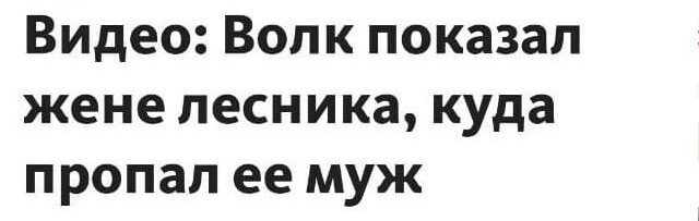 Видео Волк показал жене лесника куда пропал ее муж
