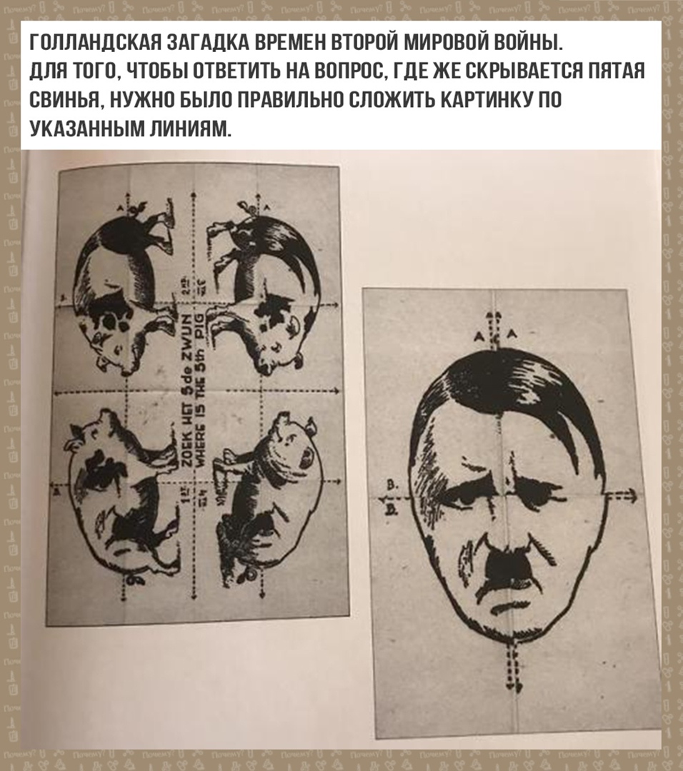 ГОЛЛАНДОКАН ЗАГАДКА ВРЕМЕН ВТОРОЙ МИРОВОЙ ВОЙНЫ ЦПЯ ТОГО ЧТОБЫ ОТВЕТИТЬ НА ВОПРОС ГДЕ ЖЕ ВКРЫВАЕТСЯ ПЯТАЯ СВИНЬН НУЖНО БЫЛО ПРАВИЛЬНО ВЛОЖИТЬ КАРТИНКУ ПП УКАЗАННЫМ ЛИНИЯМ фэжг Егашиш 5