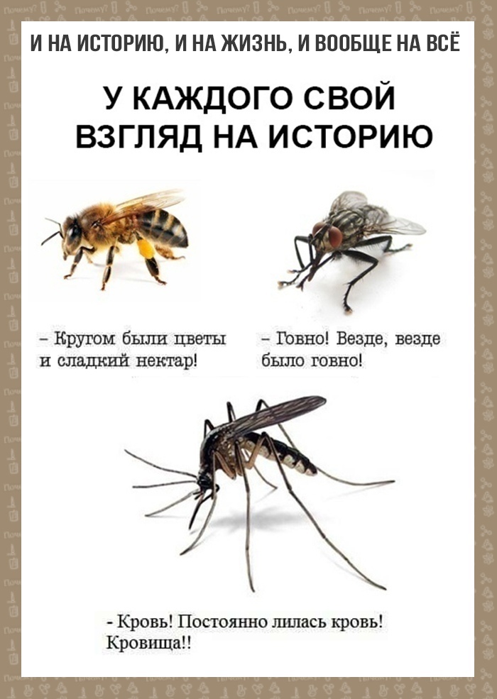 И НА ИСТОРИЮ И НА ЖИЗНЬ И ВООБЩЕ НА ВСЁ У КАЖДОГО СВОЙ ВЗГЛЯД НА ИСТОРИЮ же 9 Кругом были цветы Ливно Везде везде и сладкий пожар было говно Кровь Постоянно шлдсъ кровь Кровищап