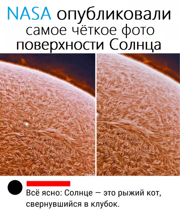 МАЗА опубликовали самое чёткое фото поверхности Солнца Всё ясно Солнце это рыжий кот свернувшийся в клубок