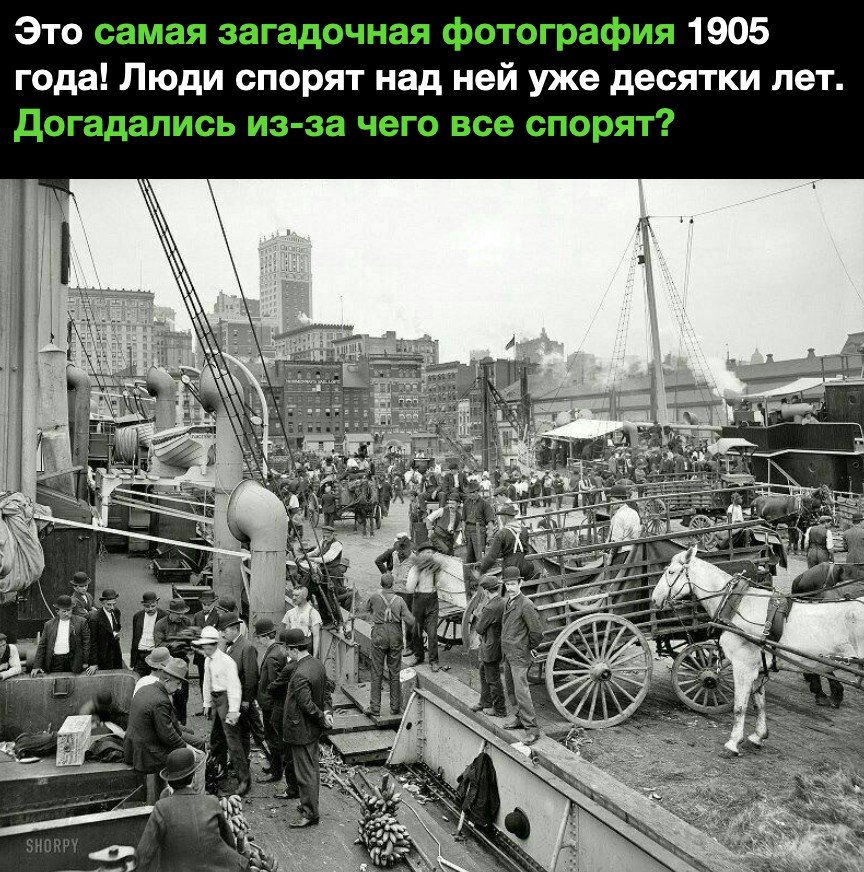 Это самая загадочная фотография 1905 года Люди спорят над ней уже десятки лет догадались из за чего все спорят