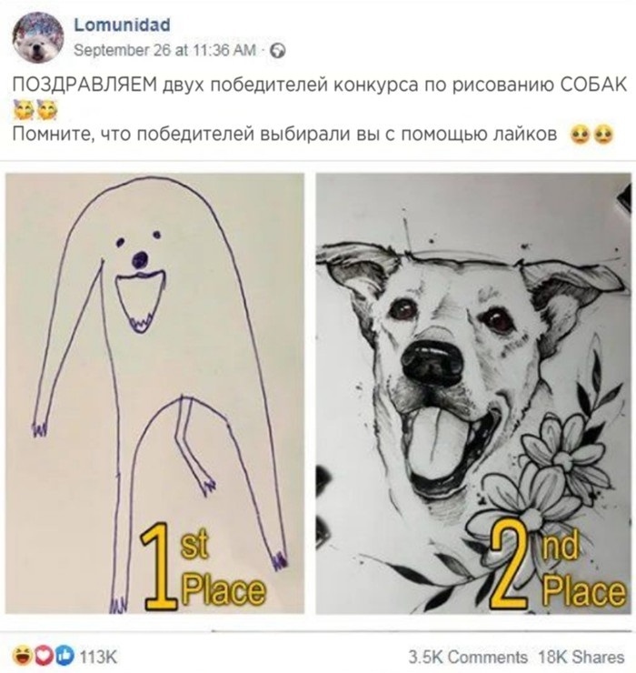 отитааа Зесіещпеі 26 а и 36 дм 0 ПОЗДРАВЛЯЕМ двух победителей конкурса по рисованию СОБАК Помните что победителей выбирали выс помощью лайков 00 МЗК 3 эк Сопчтемэ так зиауез