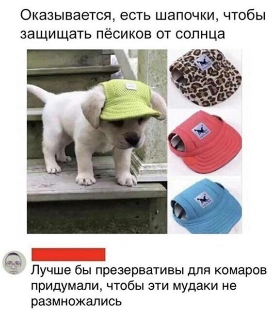 Оказывается есть шапочки чтобы защищать пёсиков от солнца Ч 4 Лучше бы презервативы для комаров придумали чтобы эти мудаки не размножались