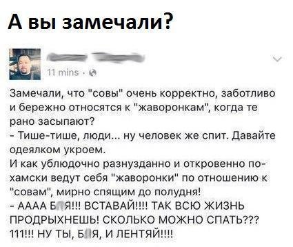 А вы замечали 558 __ Замечапи что совы очень корректно забитпиво и бережно относятся женоронкзм когда те рано засыпают Тише тише люди у человек же спит Давайте одеяпком украем И как ублюдочнс разнузданно и откровенно по хамски ведут себя жаворонки по отношению к сезам мирно спящим до полудня АААА Е ВСТАВАЙ іТАК всю жизнь продрыхнешы сколько можно СПАТЬ 111 НУ ты и ПЕНТЯ