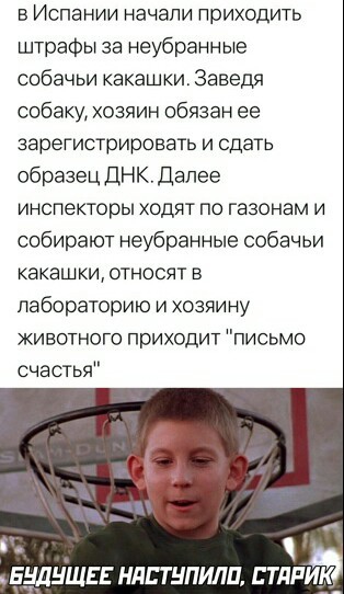 в Испании начали приходить штрафы за неубранные собачьи какашки Заведи собаку хозяин обязан ее зарегистрировать и сдать образец ДНКДалее инспекторы ходят по газонам и собирают неубранные собачьи какашки относят в лабораторию и хозяину животного приходит письмо счастья _БНДНЩЕЕ НдЕТНПИЛП НДРЙ