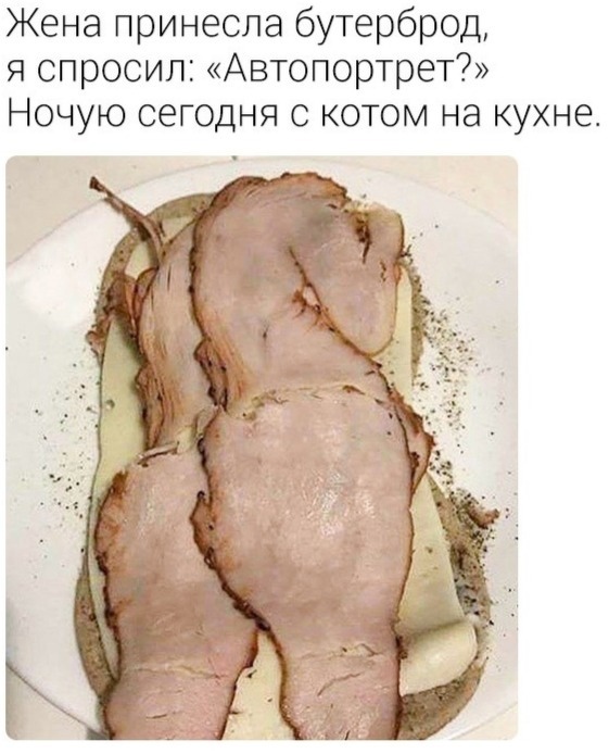 Жена принесла бутерброд я спросил Автопортрет Ночую сегодня с котом на кухне