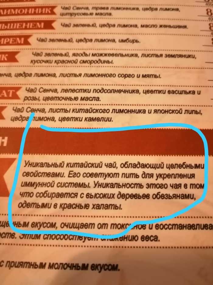 литылшшиовоеорюимяпы Чад Свищ типы китайского лимонника и мы цедра Ма т цветки камешии Уншлщьл китайский чай обладающий цепебиьпи сайтами Его советуют пить для украшении шмунлой системы Уишапьиоагь этою чая 0 тт чтоообиртотсвьткшдареоьособаьящ Минетаьвхалапы очицветиппюдггмиобшшш вт