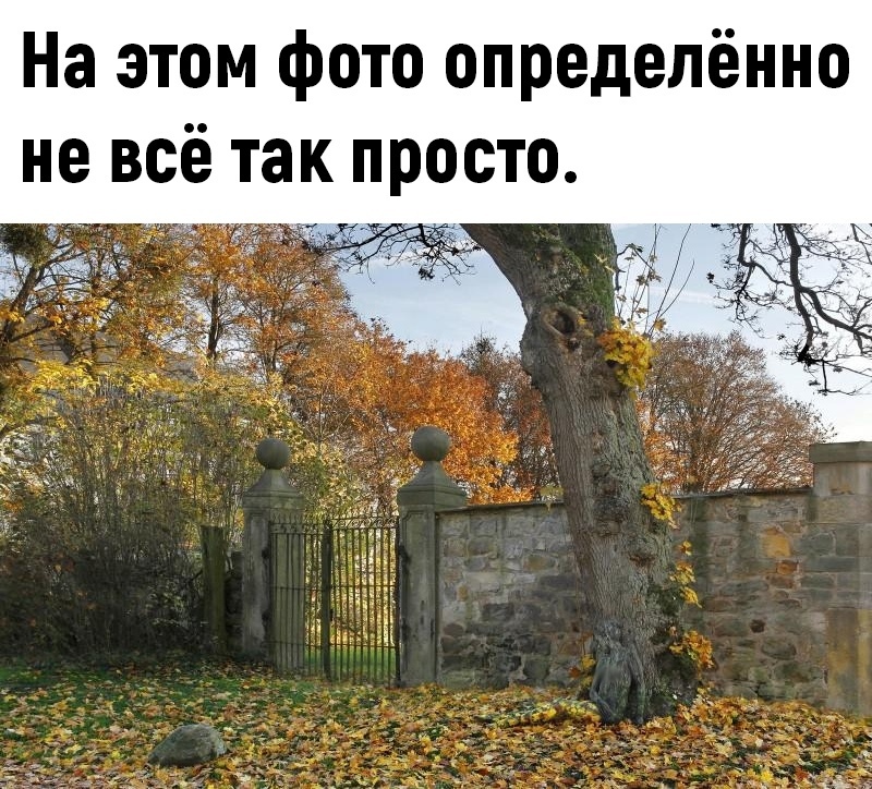 На этом фото определённо не всё так просто