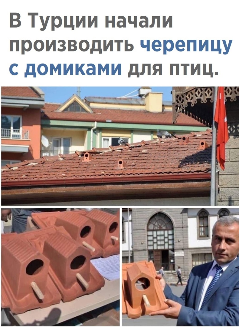 В Турции начали производить черепицу с домиками для птиц