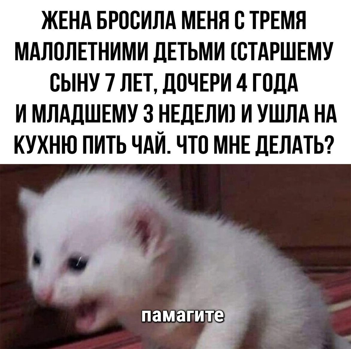 ЖЕНА БРОВИЛА МЕНЯ В ТРЕМЯ МАЛОЛЕТНИМИ ДЕТЬМИ ВТАРШЕМУ ВЫНУ 7 ЛЕТ ДОЧЕРИ 4 ГОДА И МЛАДШЕМУ 3 НЕДЕЛИ И УШЛА НА КУХНЮ ПИТЬ ЧАИ ЧТО МНЕ ДЕЛАТЬ