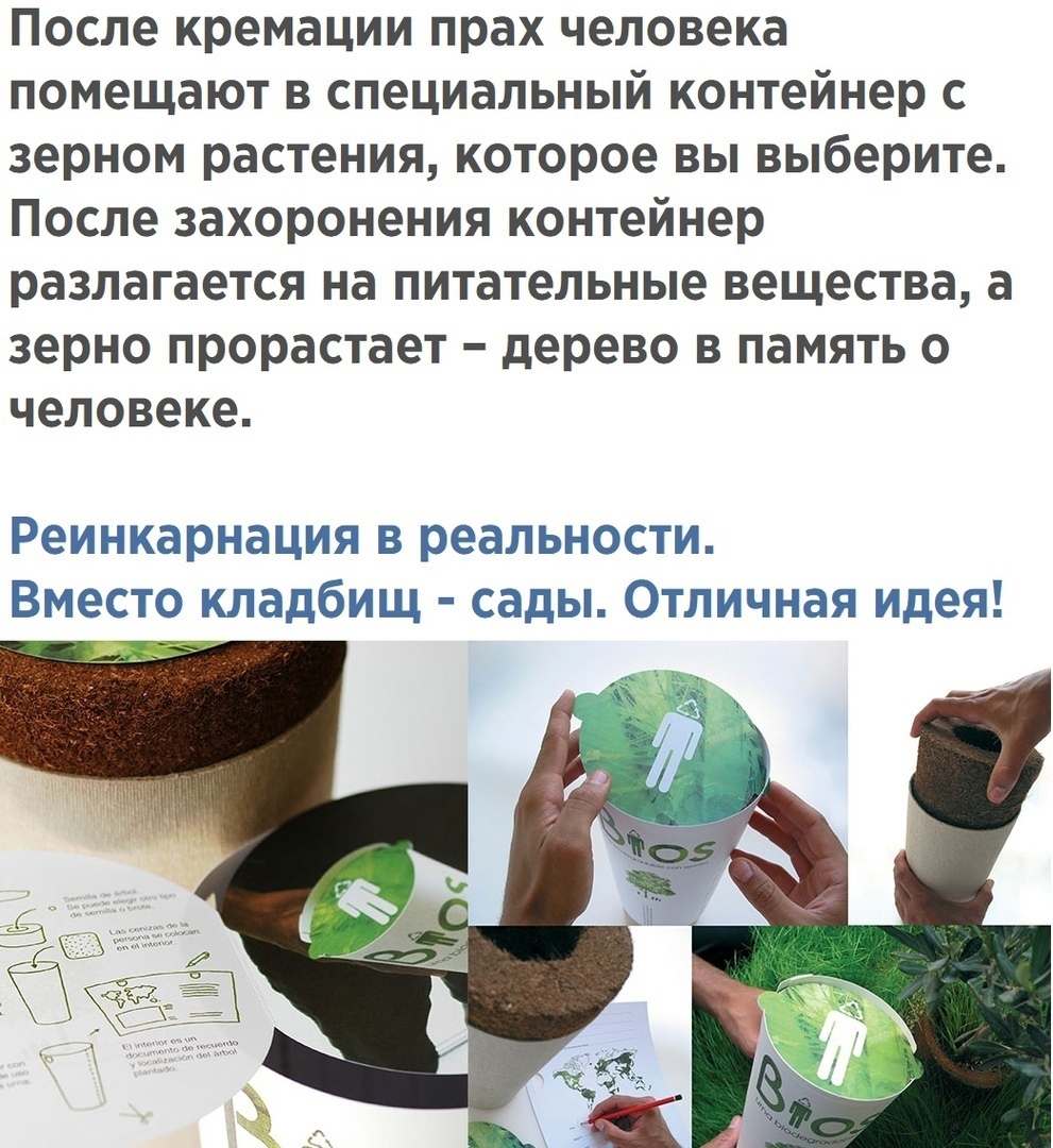 После кремации прах человека помещают в специальный контейнер с зерном растения которое вы выберите После захоронения контейнер разлагается на питательные вещества а зерно прорастает дерево в память о человеке Реинкарнация В реальности ВМЭСТО кладбищ сады Отличная идея