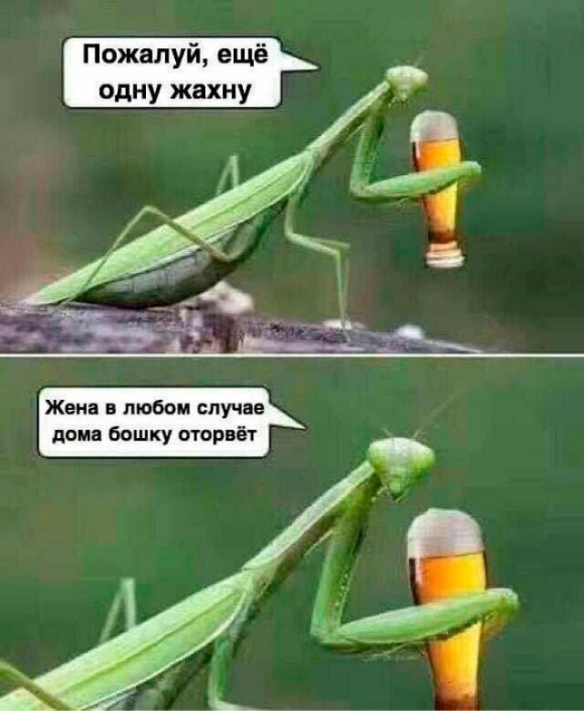 Пожалуй ещё одну жахну Жена в любом случае дома башку оторвёт