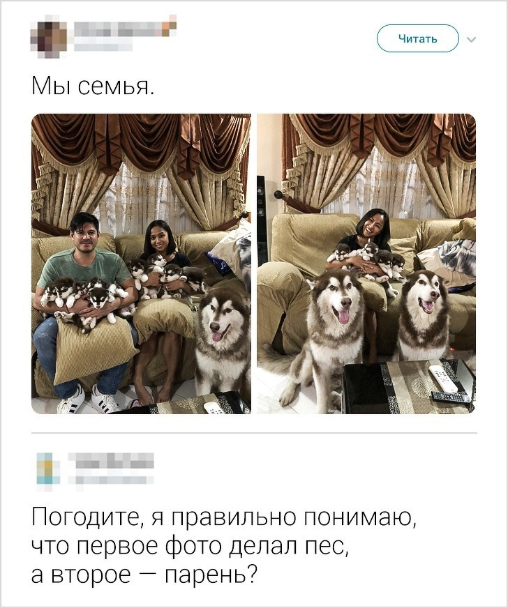 Погодите Я правильно понимаю что первое фото Делал пес а второе парень