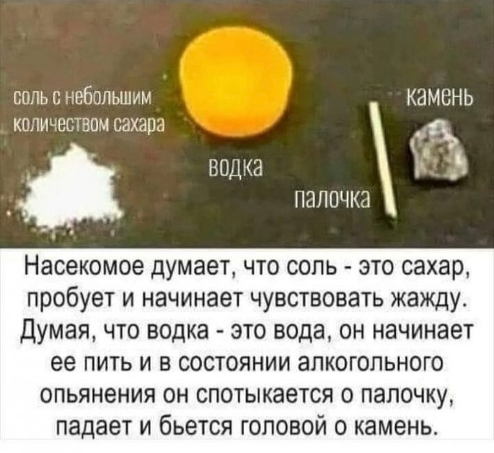 соль с небольшим КЭМОНЬ количеством сахаш _ нь водка ЮЛОЧКЭ Насекомое думает что соль это сахар пробует и начинает чувствовать жажду Думая что водка это вода он начинает ее пить и в состоянии алкогольного опьянения он спотыкается о палочку падает и бьется головой о камень