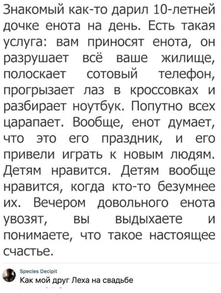 Знакомый както дарип 10 летней дочке енота на день Есть такая услуга вам приносят енота он разрушает всё ваше жилище полоскает сотовый телефон прогрызает паз в кроссовках и разбирает ноутбук Попутно всех царапает Вообще енот думает что это его праздник и его привели играть к новым людям Детям нравится Детям вообще нравится когда кто то безумнее их Вечером довольного енота увозят вы выдыхаете и пон