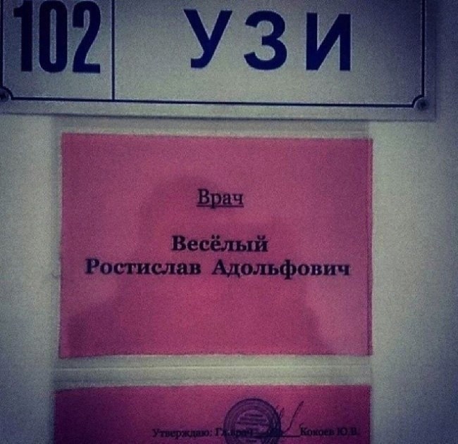 Весёлый Ростислав Адольфович