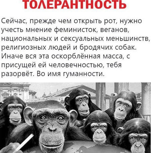 Сейчас, прежде чем открыть рот, нужно учесть мнение феминисток, веганов, национальных и сексуальных меньшинств, религиозных людей и бродячих собак. Иначе вся эта оскорблённая масса, с присущей ей человечностью, тебя разорвёт. Во имя гуманности.