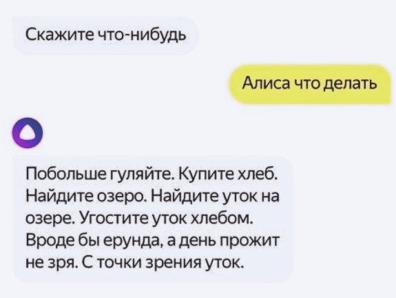 Скажите что нибудь Побольше гуляйте Купите хлеб Найдите озеро Найдите уток на озере Угостите уток хлебом Вроде бы ерунда а день прожит не зря С точки зрения уток
