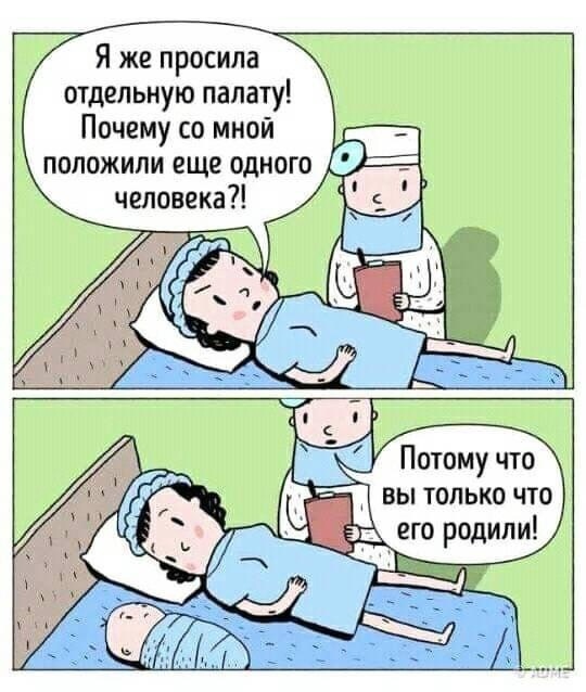 Я же просила отдельную палату Почему со мной положили еще одного человека