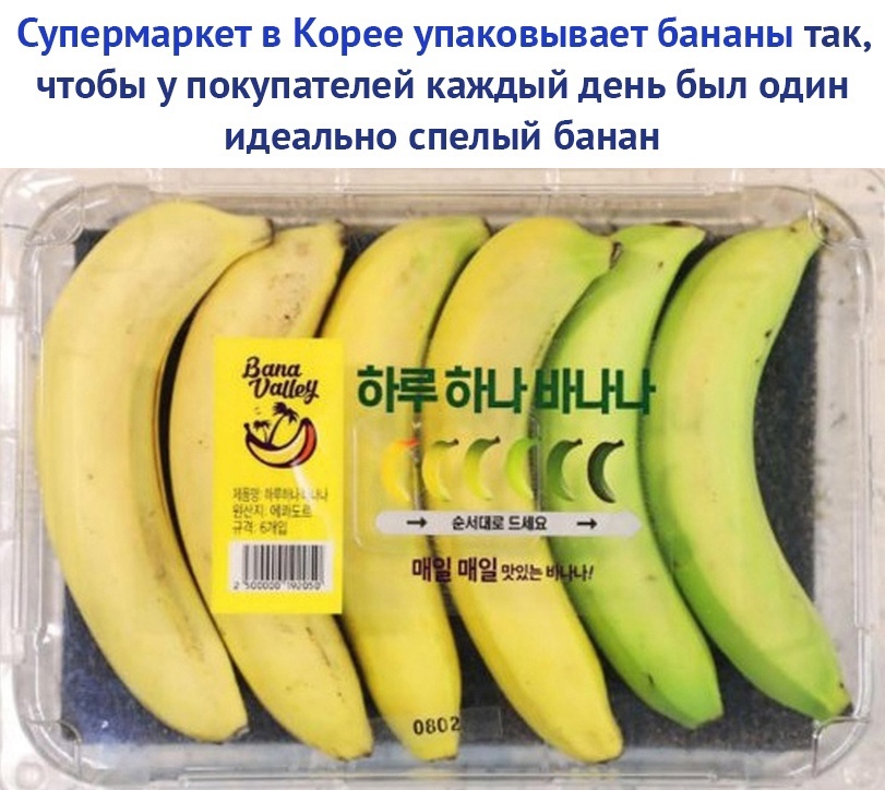Супермаркет в Корее упаковывает бананы так чтобы у покупателей каждый день был один идеально спелый банан о 214115519 0 ПНШПН