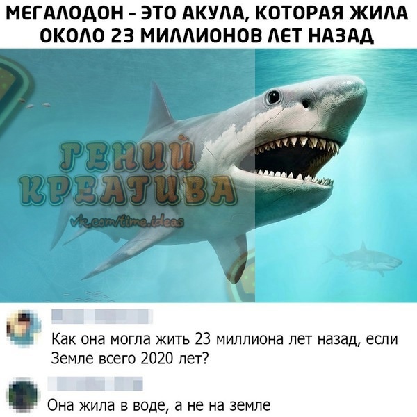 МЕГААОДОН ЭТО АКУЛА КОТОРАЯ ЖИАА ОКОАО 23 МИААИОНОВАЕТ НАЗАД Как она могла жить 23 миллиона лет назад если Земле всего 2020 лет Она жила в воде а не на земле