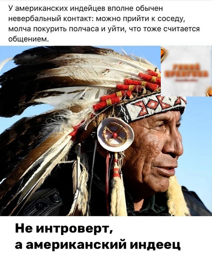 У американских индейцев вполне обычен невербальный контакт можно прийти к соседу мопча покурить полчаса и уйти что тоже считается общением Не интроверт а американский индеец