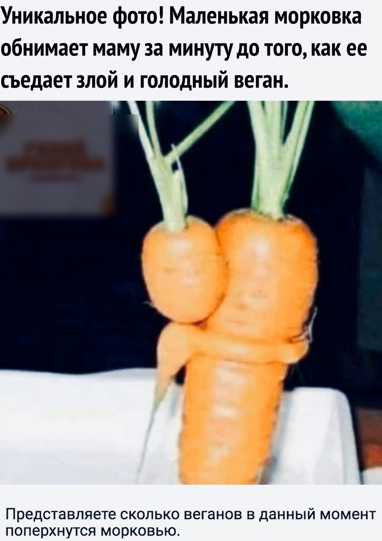 Уникальное фото Маленькая морковка обнимает маму за минуту до того как ее съедает злой и голодный веган Представляете сколько веганов в данный момент поперхнутся морковью