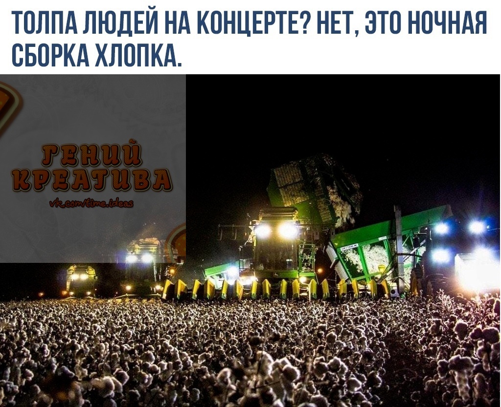 ТПЛПА ЛЮДЕЙ Нд КОНЦЕРТЕ НЕТ ЭТО НОЧНАЯ СБОРКА ХЛОПКА
