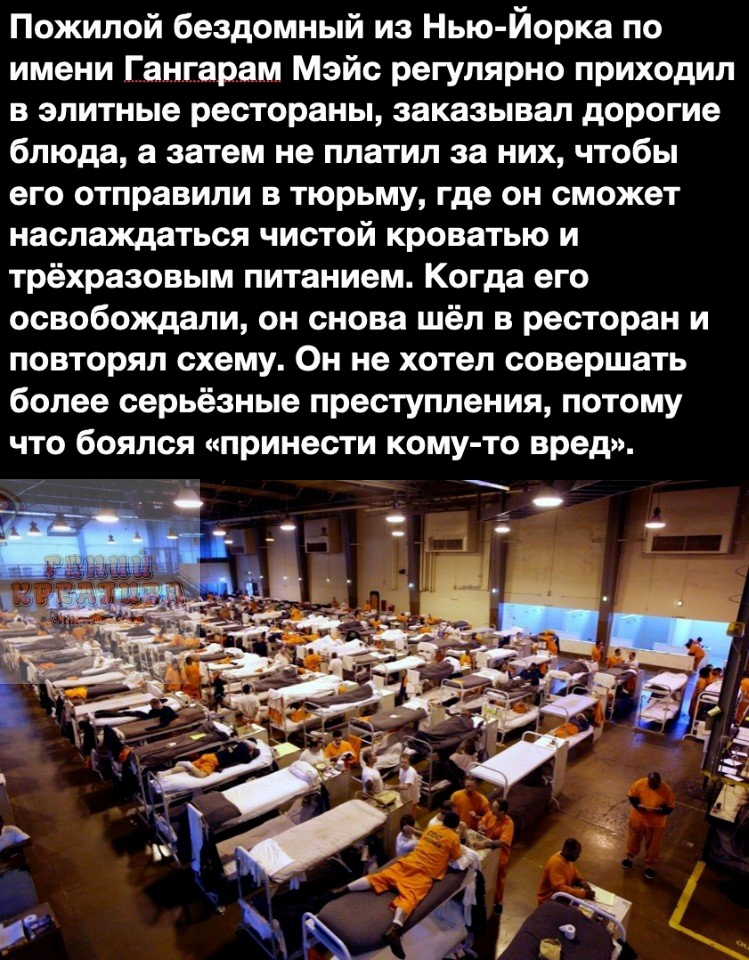 Пожилой бездомный из Нью Йорка по имени Гангарам Мзйс регулярно приходил в элитные рестораны заказывал дорогие блюда а затем не платил за них чтобы его отправили в тюрьму где он сможет наслаждаться чистой кроватью и трёхразовым питанием Когда его освобождали он снова шёл в ресторан и повторял схему Он не хотел совершать более серьёзные преступления потому что боялся принести кому то вред