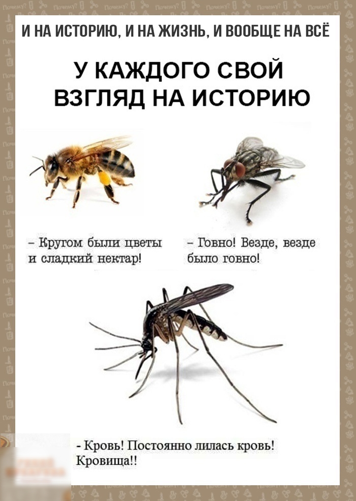 И НА ИСТОРИЮ И НА ЖИЗНЬ И ВООБЩЕ НА ВСЁ У КАЖДОГО СВОЙ ВЗГЛЯД НА ИСТОРИЮ Кругом были цветы Панно Везде везде и сладкий пожар было говно Кровь Постоянно шлдсъ кровь Кровища