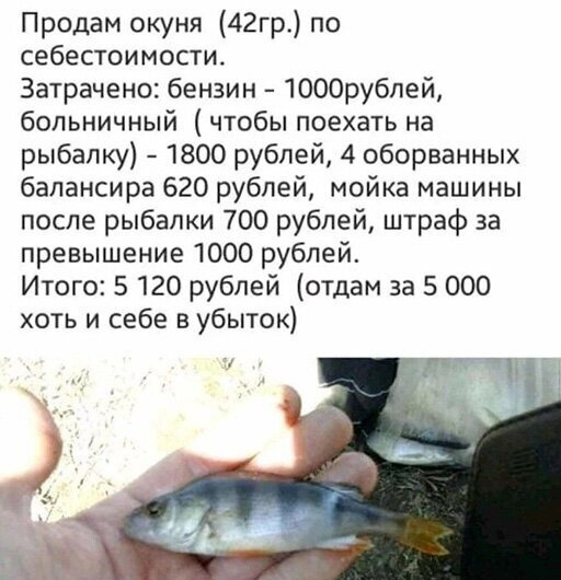 Продам окуня 42гр по себестоимости Затрачено бензин 1000рубпей больничный чтобы поехать на рыбалку 1800 рублей 4 оборванных балансира 620 рублей мойка машины после рыбалки 700 рублей штраф за превышение 1000 рублей Итого 5 120 рублей отдам за 5 000 хоть и себе в убыток