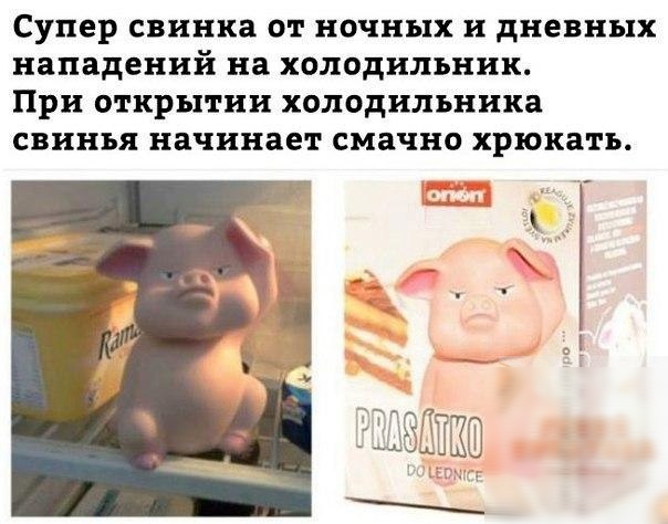 Супер свинка 01 НОЧНЪПХ и дневных нападений на холодильник При открытии холодильника свинья начинает смачно ХРЮКЗТЪ