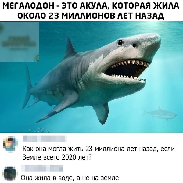 МЕГААОДОН ЭТО АКУЛА КОТОРАЯ ЖИАА ОКОО 23 МИЛЛИОНОВ ЛЕТ НАЗАД 52 Как она могла жить 23 миллиона лет назад если Земле всего 2020 лет Она ЖИПд В ВОДЕ а не на земле