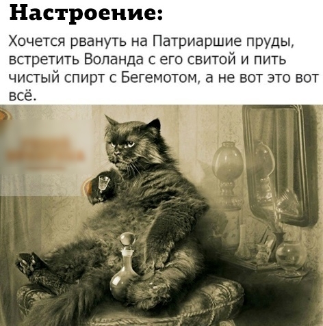 Настроение Хочется рвануть на Патриаршие пруды встретить ВОЛВНДЭ С его СБИТОЙ И ПИТЬ чистый спирт Бегемотом а не вот это вот