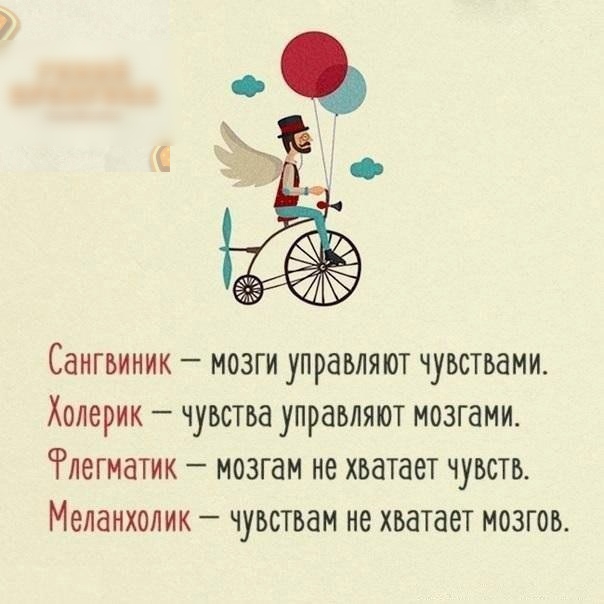 Сангвиник мозги управляют чувствами Холерик чувства управляют мозгами Рлегматик мозгам не хватает чувств Меланхолик чувствам не хватает мозгов