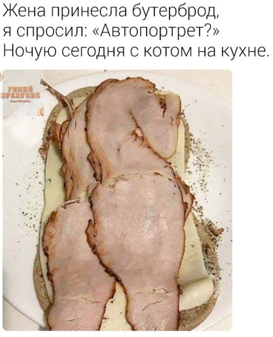 Жена принесла бутерброд я спросил Автопортрет Ночую сегодня с котом на кухне