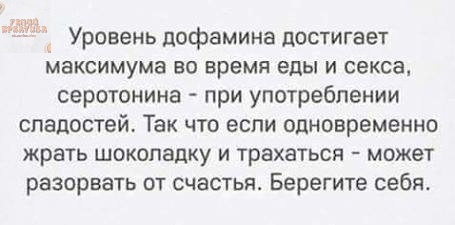 Уровень дофамина достигает максимума во время еды и секса серотонина при употреблении сладостей Так что если одновременно жрать шоколадку и трахаться может разорвать от счастья Берегите себж