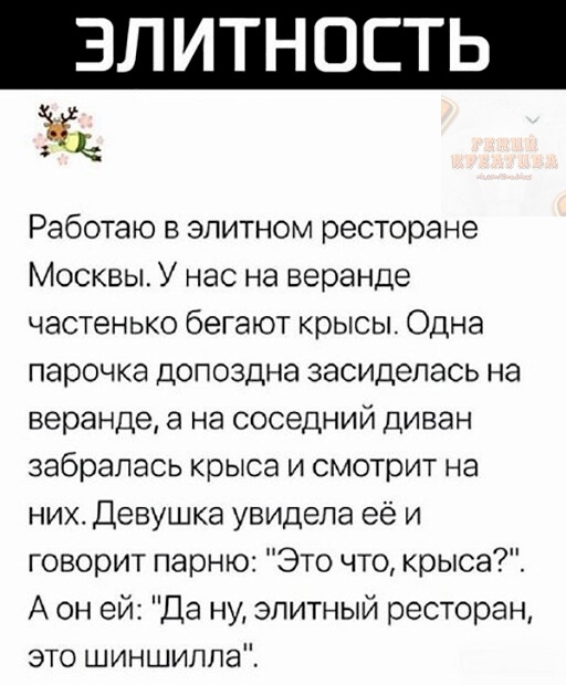 Работаю в элитном ресторане Москвы У нас на веранде частенько бегают крысы Одна парочка допоздна засиделась на веранде а на соседний диван забралась крыса и смотрит на ник Девушка увидела её и говорит парню Это что крыша А он ей Да ну элитный ресторан это шиншилла