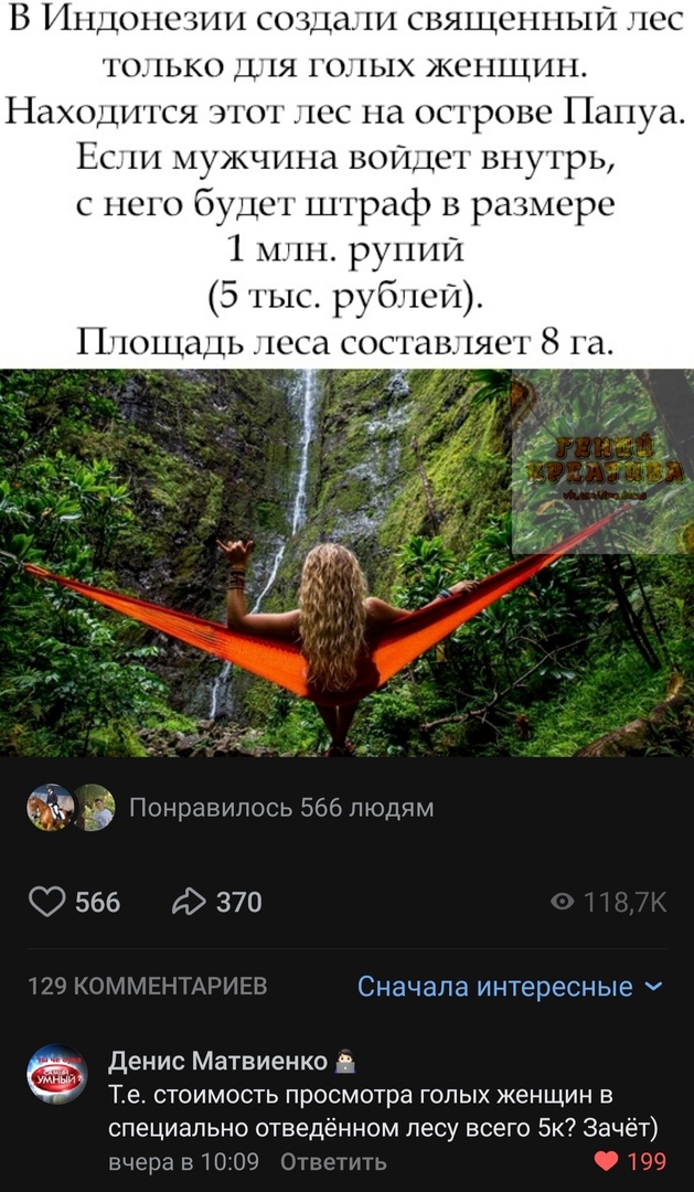 В ііщощ пи создтш священный чес то 1ько ды голых женщин Находится 3101 1сс на 001 ров Папуа Есдш мужчина 501 шт вы грь с него буд штраф в ра мс 1 млн рупий 51ыс рублей Пцощаць 1ССЗ СОСіаВ1ЯС1 8 111 дд Понравилось 566 людям 566 д 370 Сначала ИНТЕРЕСНЫЕ Денис Матвиенко і _ Те СТОИМОСТЬ просмотра ГОЛЫХ женщин В специально отведённом лесу всего Бк Зачёт вчера в 10 09