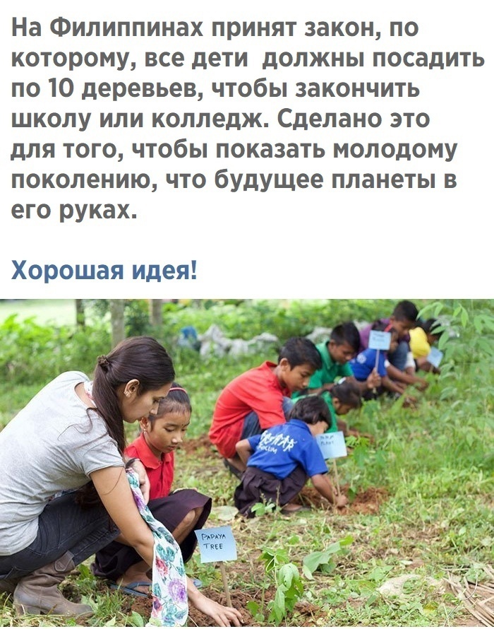 На Филиппинах принят закон по которому все дети должны посадить по 10 деревьев чтобы закончить школу или колледж Сделано это для того чтобы показать молодому поколению что будущее планеты в его руках Хорошая идея пог г _