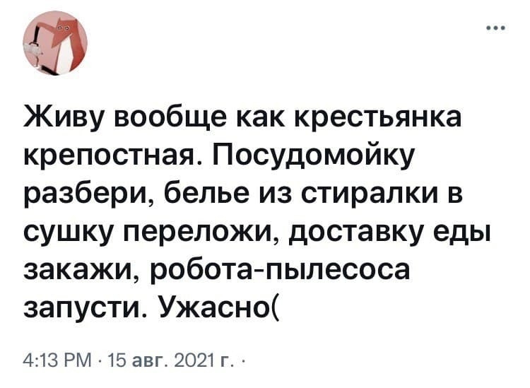 т Живу вообще как крестьянка крепостная Посудомойку разбери белье из стиралки в сушку переложи доставку еды закажи робота пылесоса запусти Ужасно 413 РМ 15 авг 2021 г