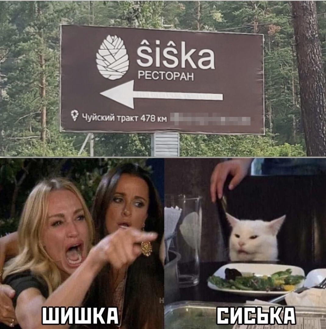 Кт сиевка