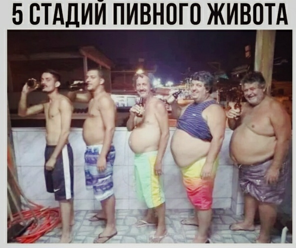 БВТАДИЙ ПИВНПГП ЖИВОТА