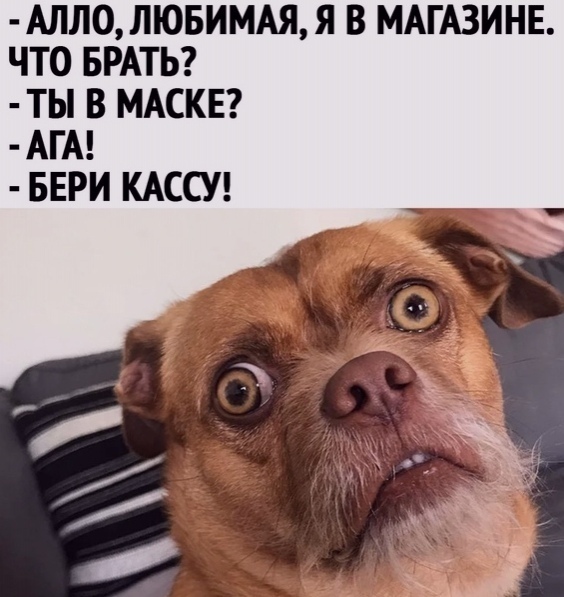 АЛЛ0ЛЮБИМАЯ Я В МАГАЗИНЕ ЧТО БРАТЬ ТЫ В МАСКЕ АГА БЕРИ КАССУ